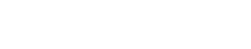 SoloMON